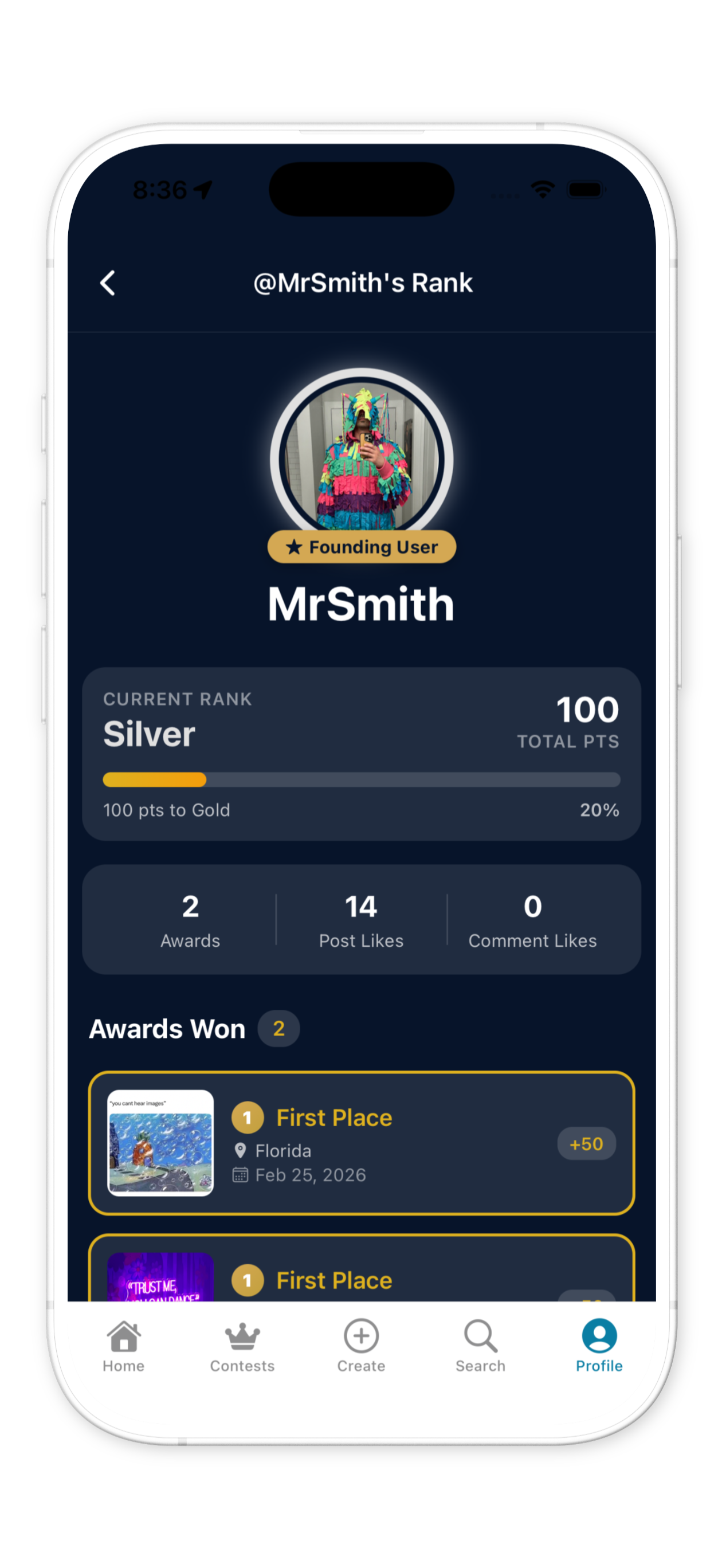 RivalMe rank progression screen showing Silver rank with awards won